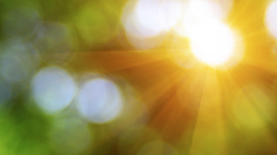 Bright sunlight filters through a blurred background of green and yellow hues.
