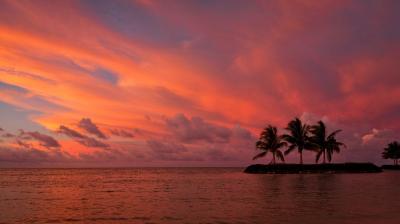 Small island with palm trees silhouetted against a vivid orange and pink sunset sky over calm ocean water.